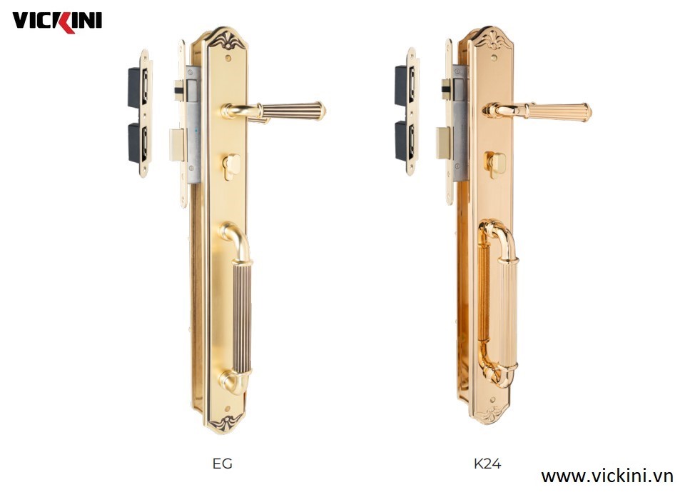 Khóa cửa đại sảnh mẫu 5