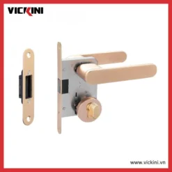 Khóa cửa phân thể VICKINI 34189.101 MBG vàng xước