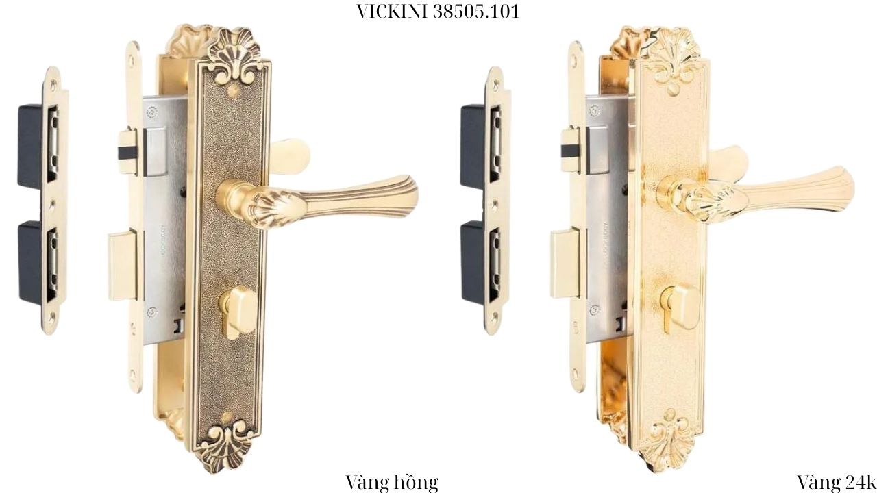 Khóa cửa nẹp 38505.101 VICKINI