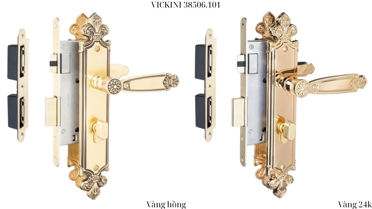 Khóa cửa nẹp 38506.101 VICKINI