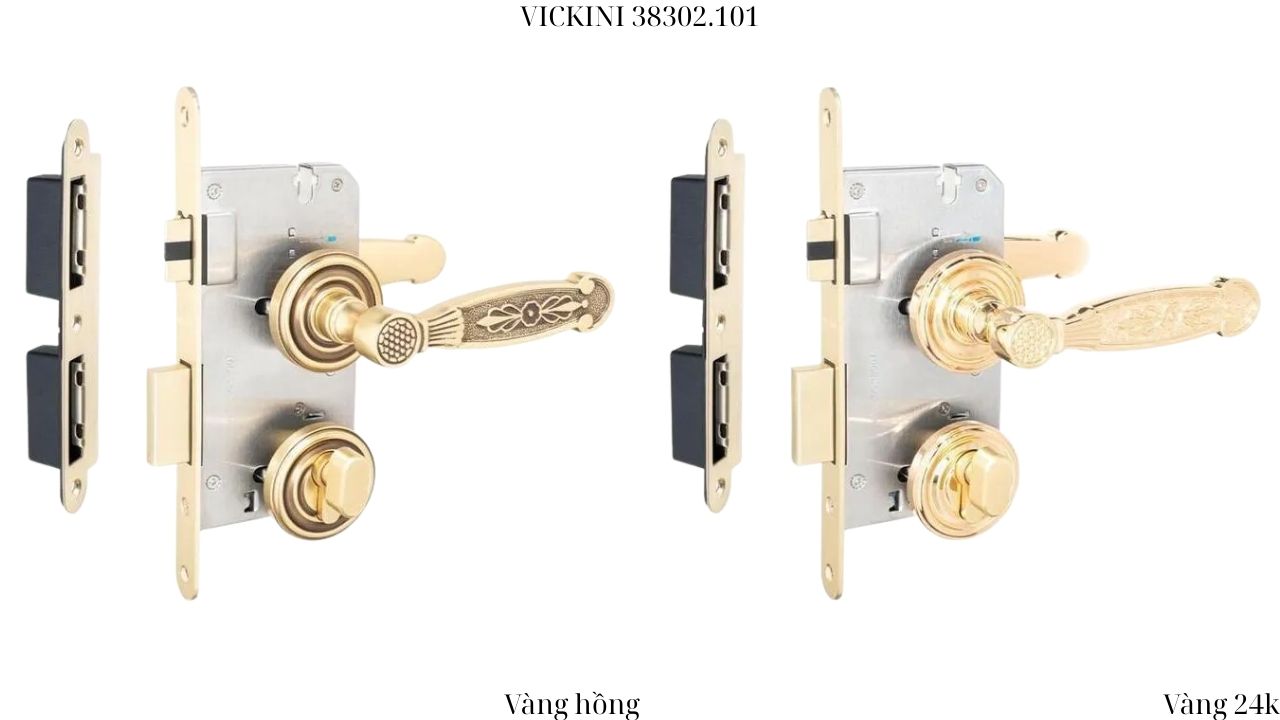 Khóa cửa phân thể 38302.101 VICKINI 