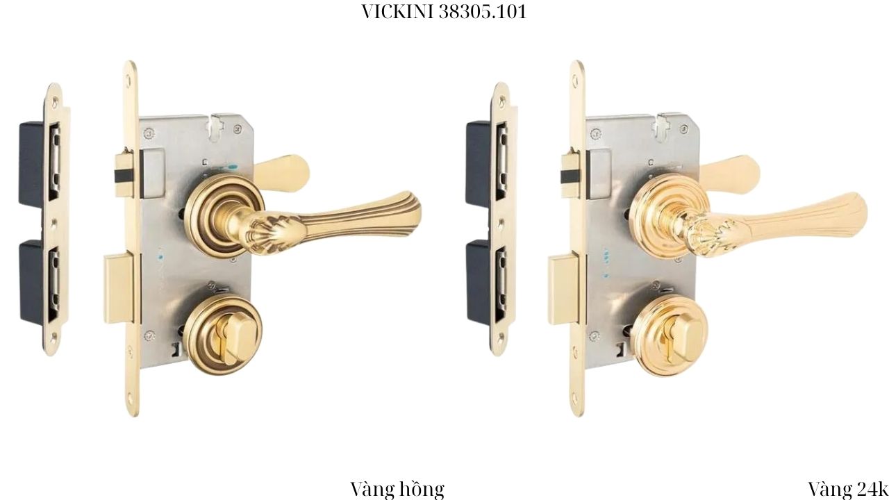 Khóa cửa phân thể 38305.101 VICKINI