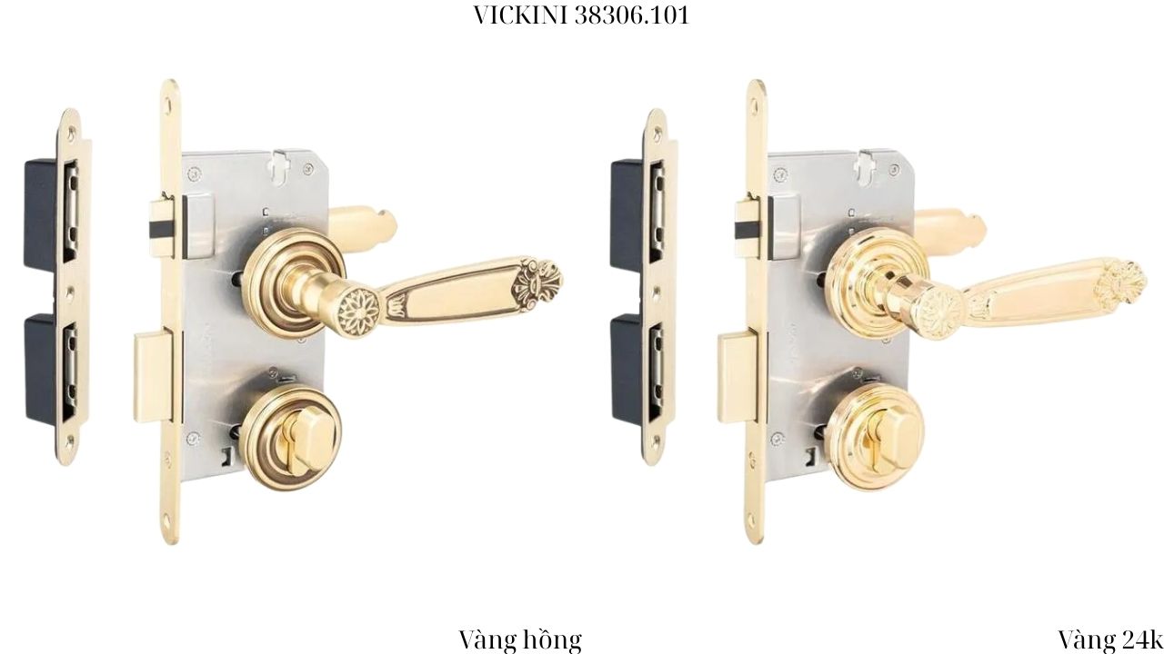 Khóa cửa phân thể 38306.101 VICKINI