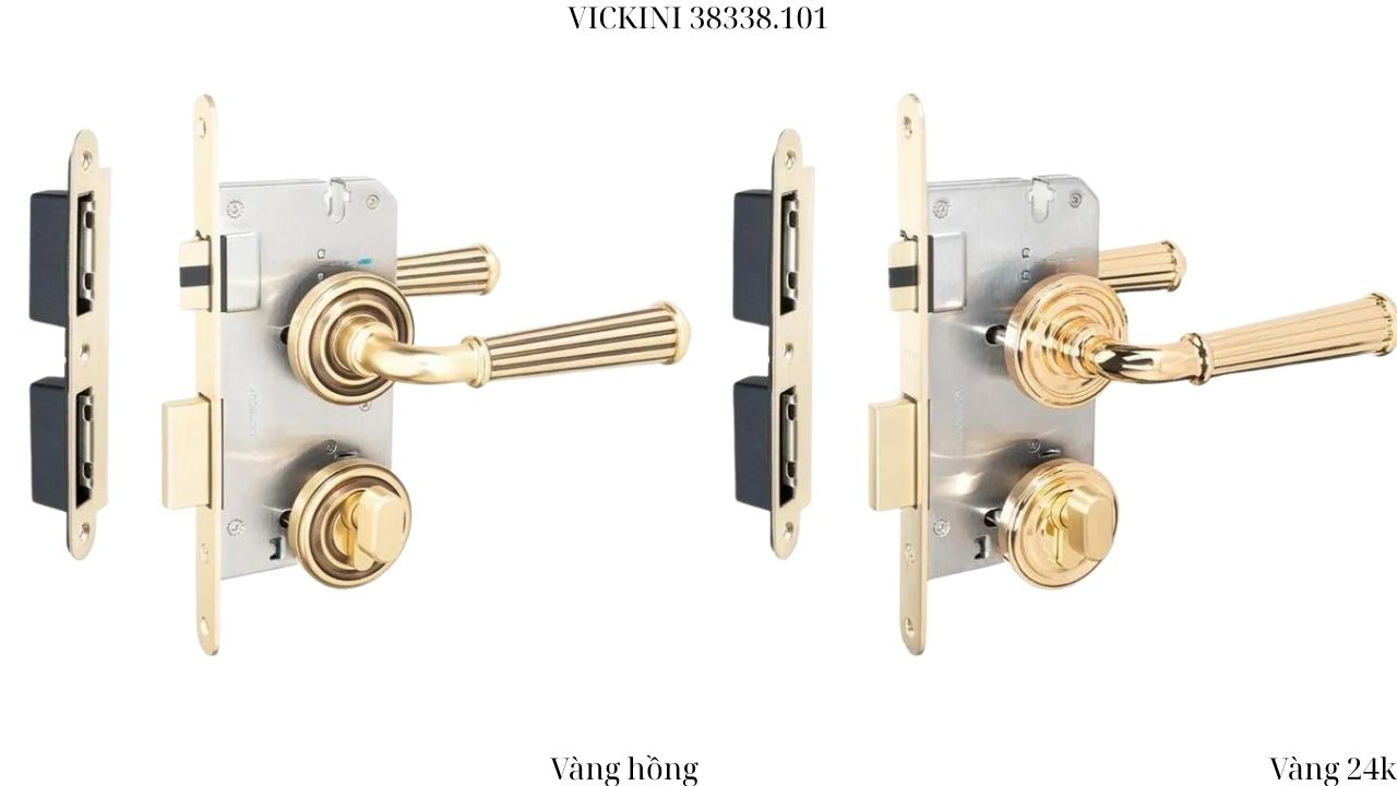 Khóa cửa phân thể 38338.101 VICKINI