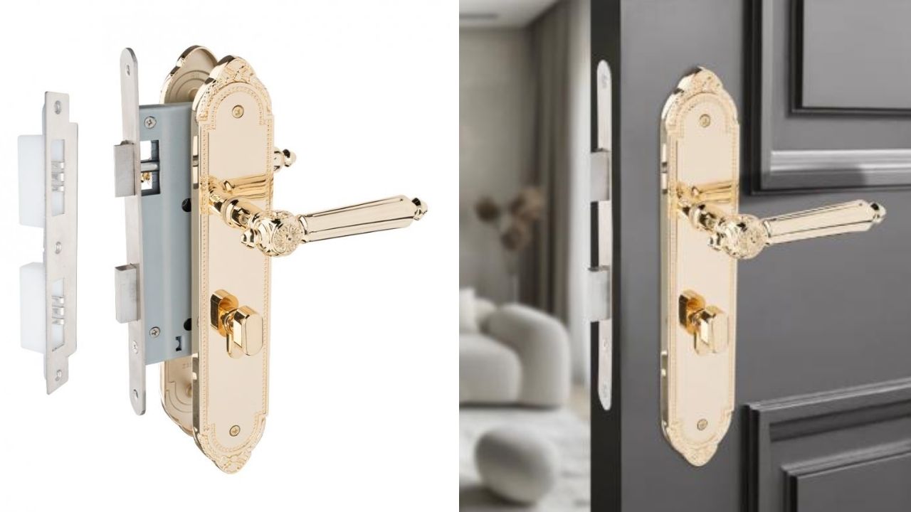 Sản phẩm khóa cửa nẹp VICKINI 35555.101 K18